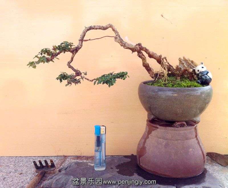 Ƭ 005.jpg