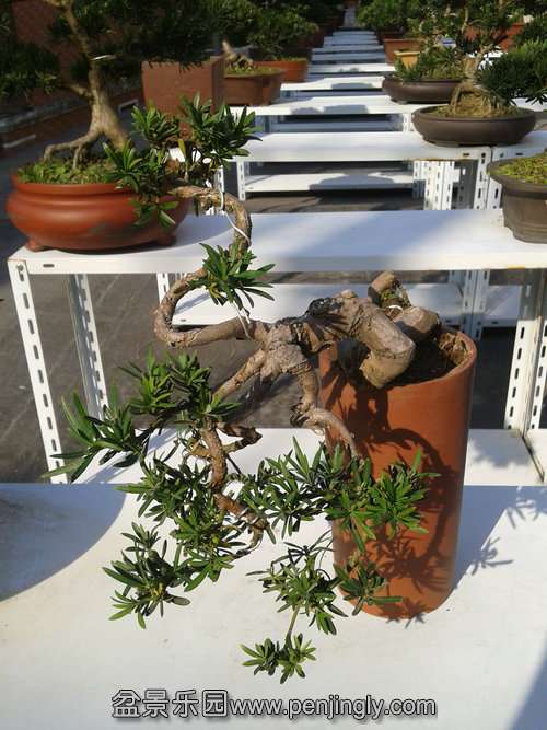 2013-11-18 13.26.28.jpg