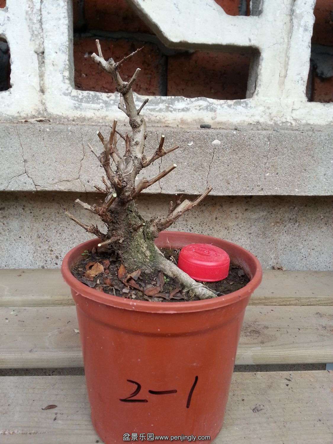 20131119_072807.jpg