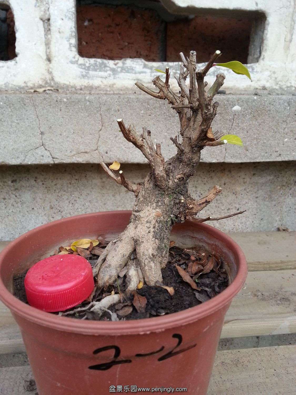 20131119_072953.jpg