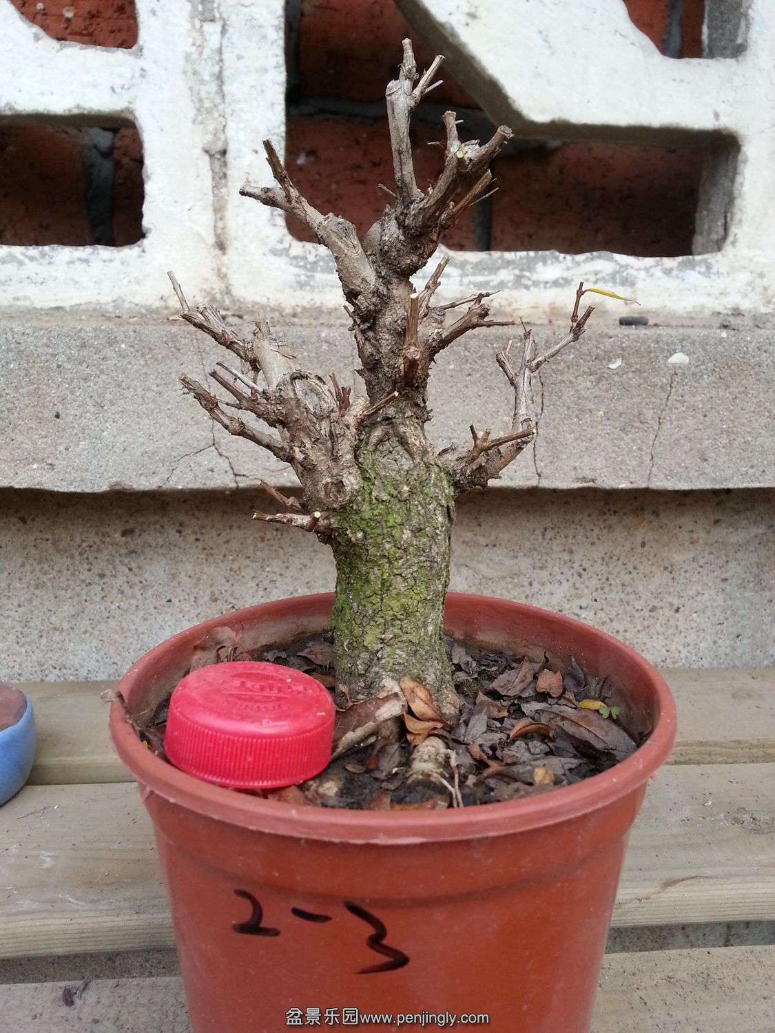 20131119_073009.jpg
