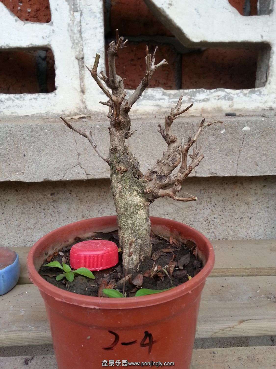 20131119_073027.jpg