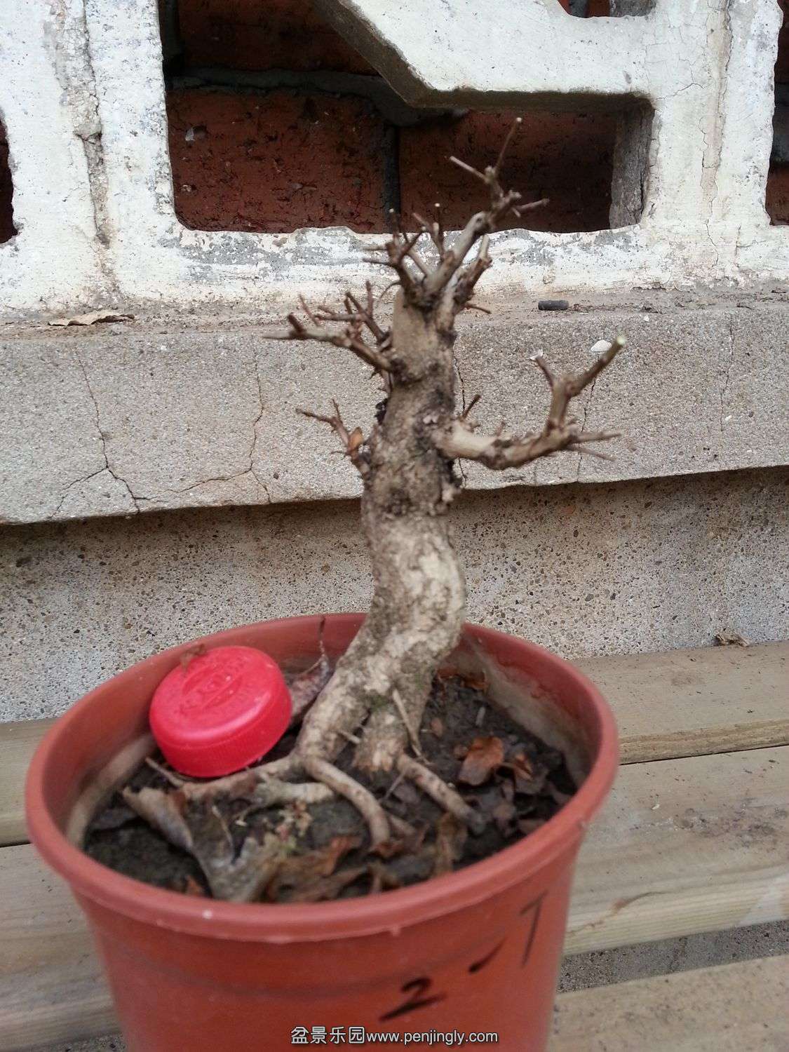 20131119_073133.jpg