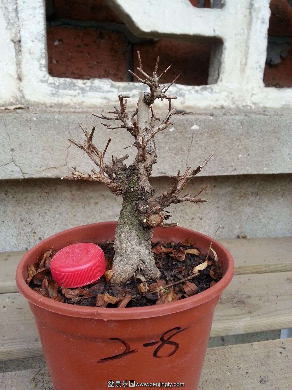 20131119_073153.jpg