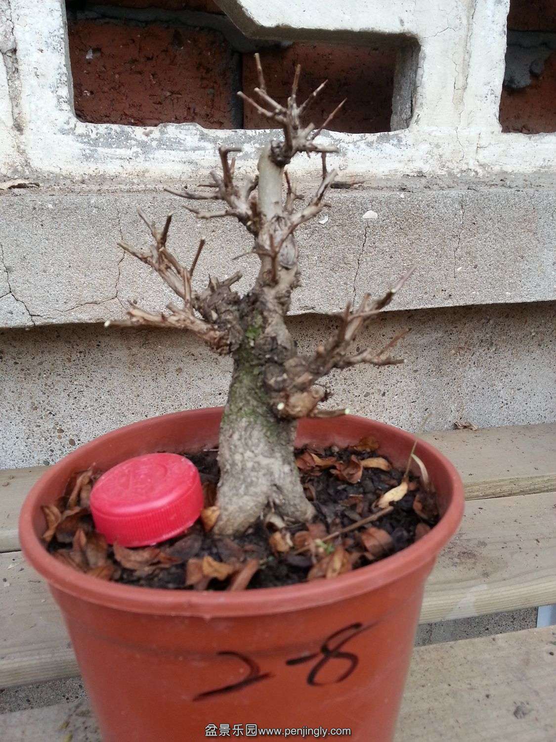 20131119_073201.jpg