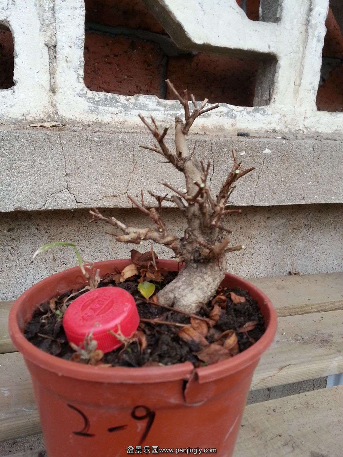 20131119_073217.jpg