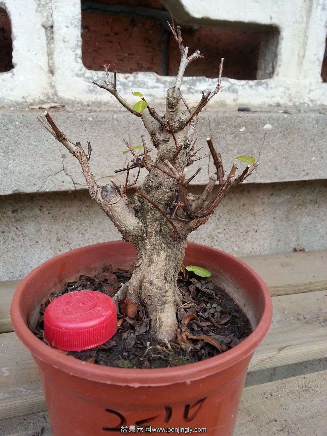 20131119_073232.jpg