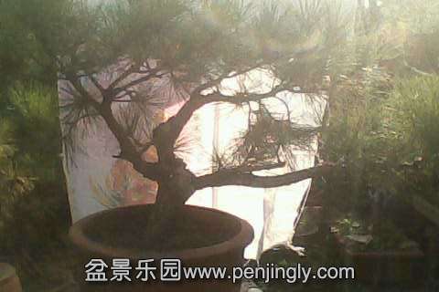 IMG0578A.jpg