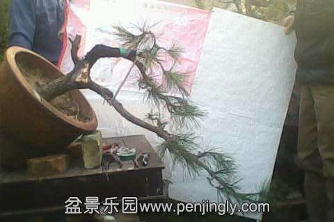IMG0580A.jpg