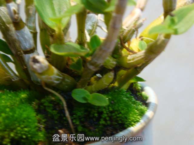 DSC05973.JPG