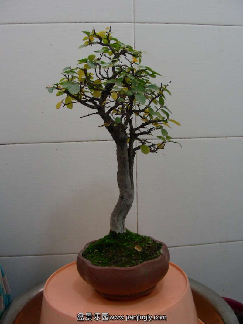 DSCN3568.JPG