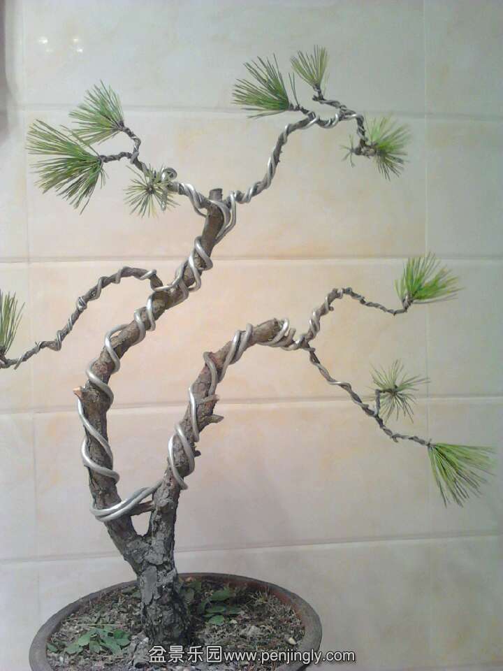 QQͼƬ20131119211601.jpg