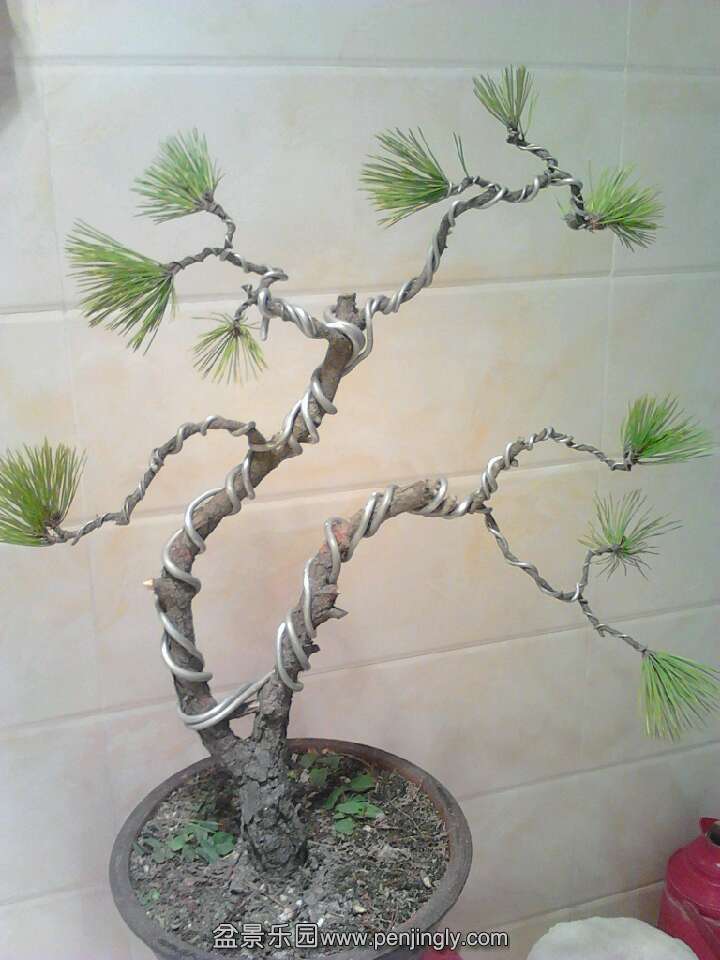 QQͼƬ20131119211612.jpg