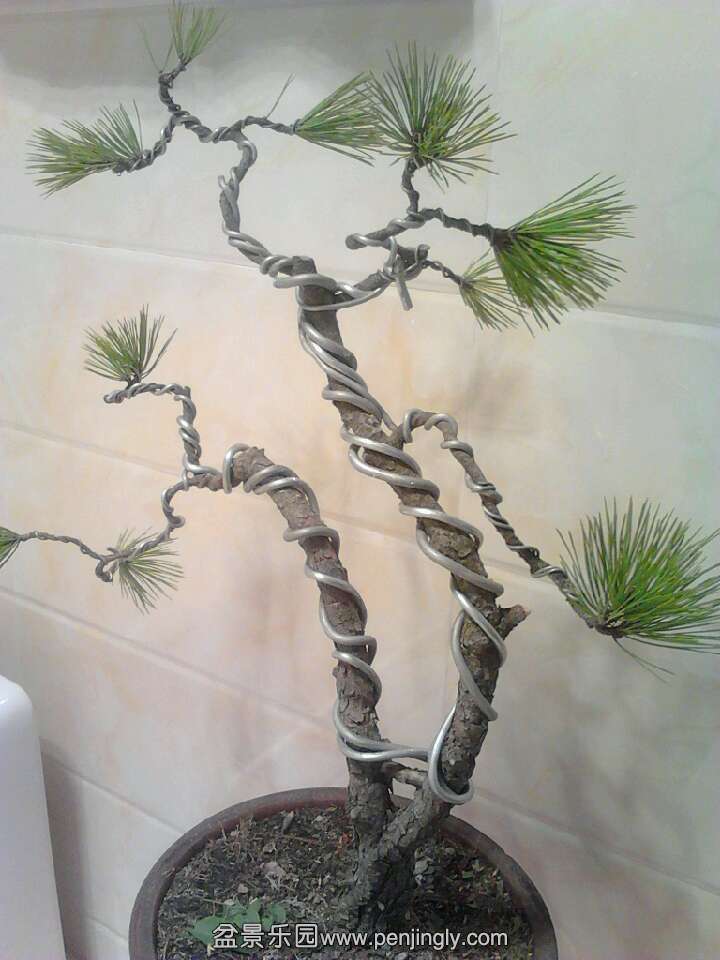 QQͼƬ20131119211621.jpg