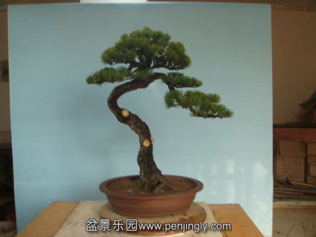 DSC04149.JPG