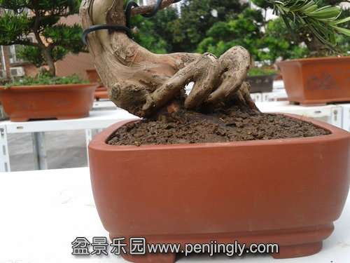 125914fyhdyyt6bcwybwx4_jpg_thumb.jpg