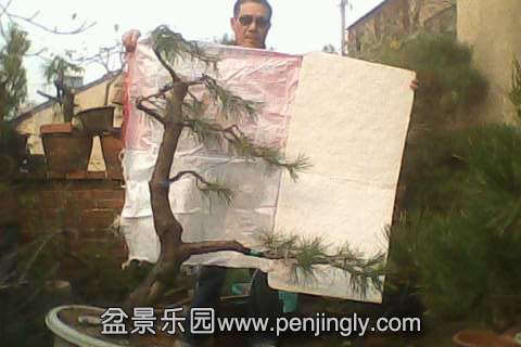 IMG0646A.jpg