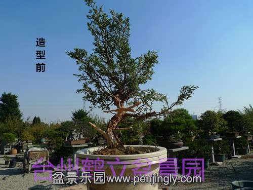 P1080903_.jpg