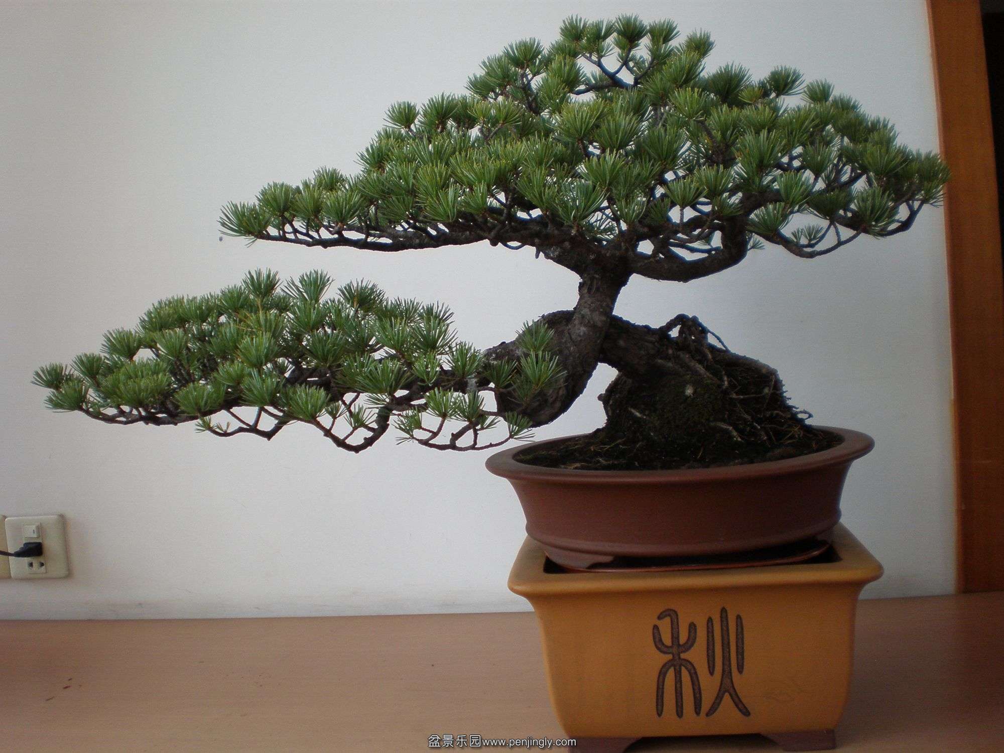 P1010264_.jpg