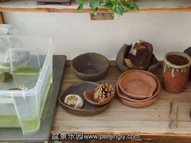 DSC06442.JPG