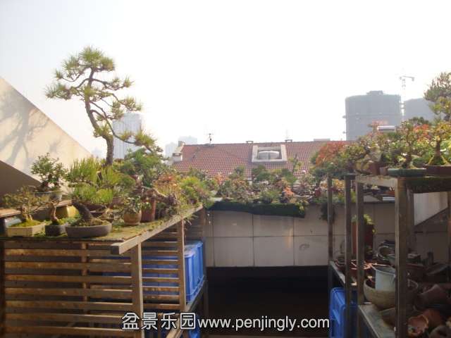 DSC06428.JPG