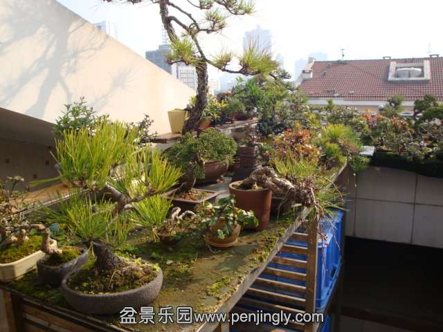 DSC06429.JPG