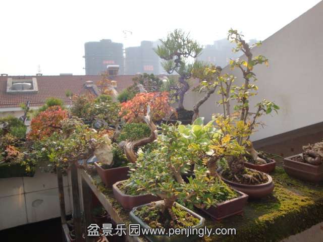 DSC06430.JPG