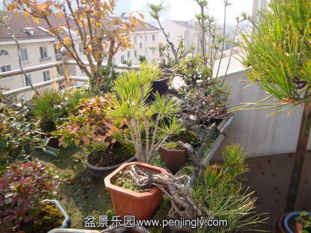 DSC06434.JPG