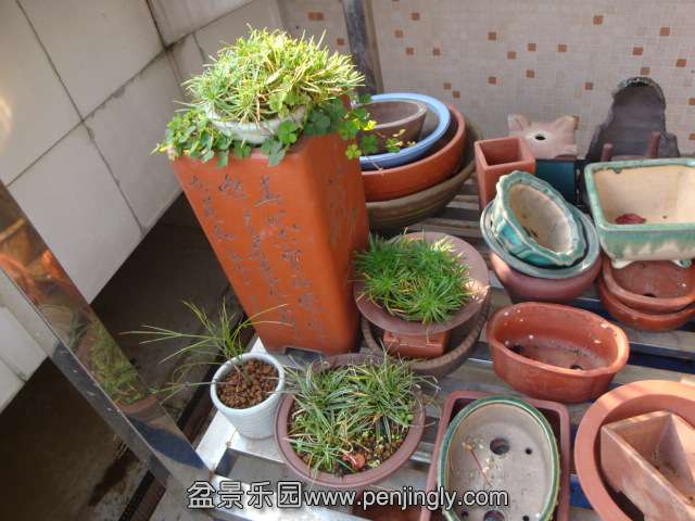 DSC06435.JPG