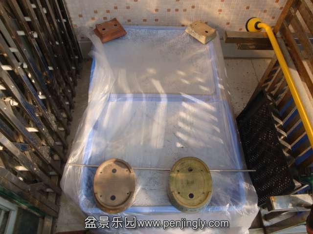 DSC06436.JPG