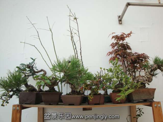 DSC06439.JPG