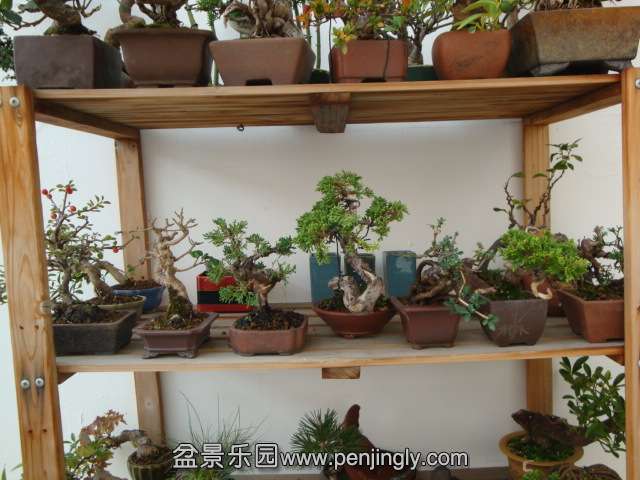 DSC06440.JPG