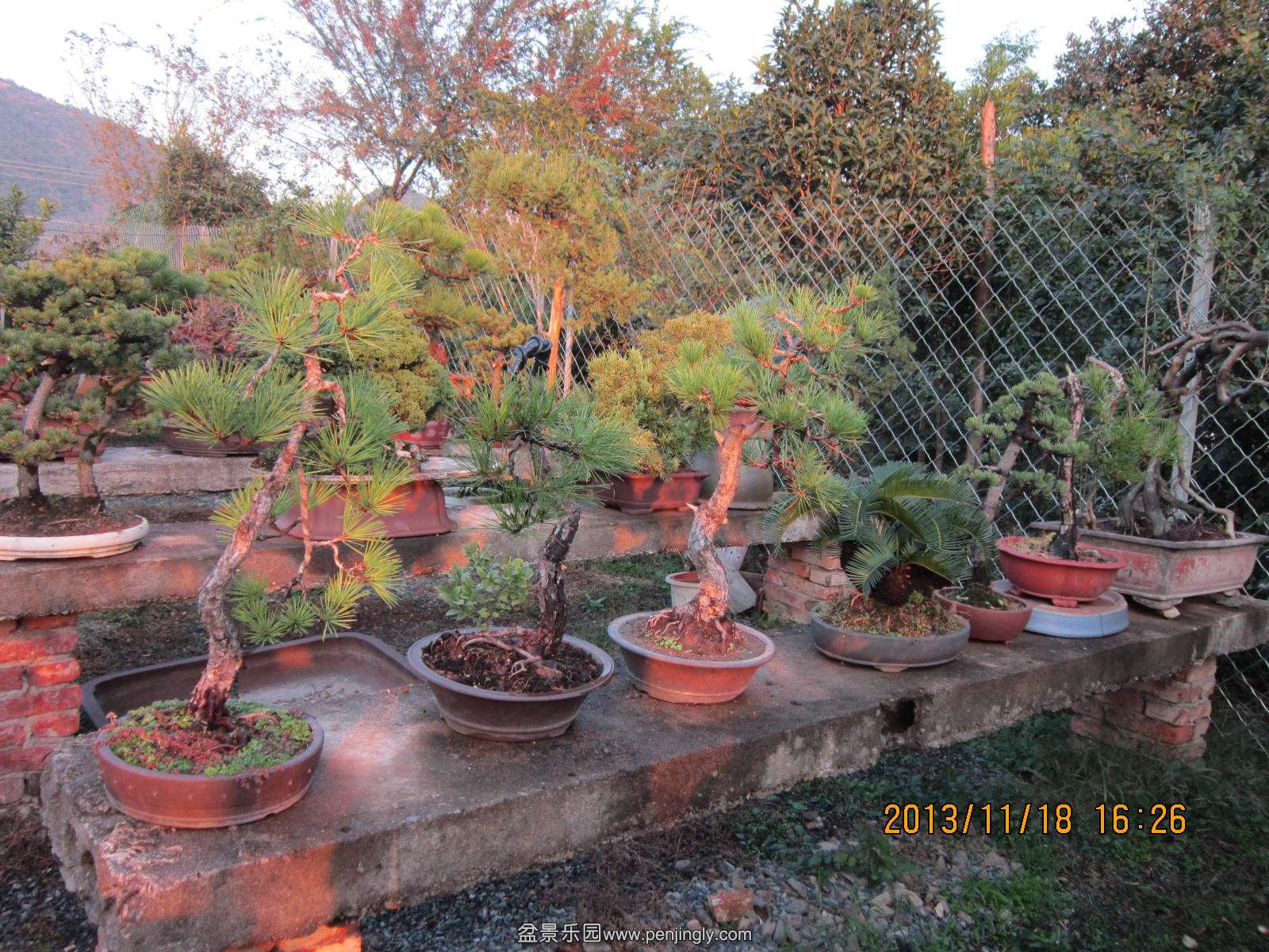 IMG_0007.JPG