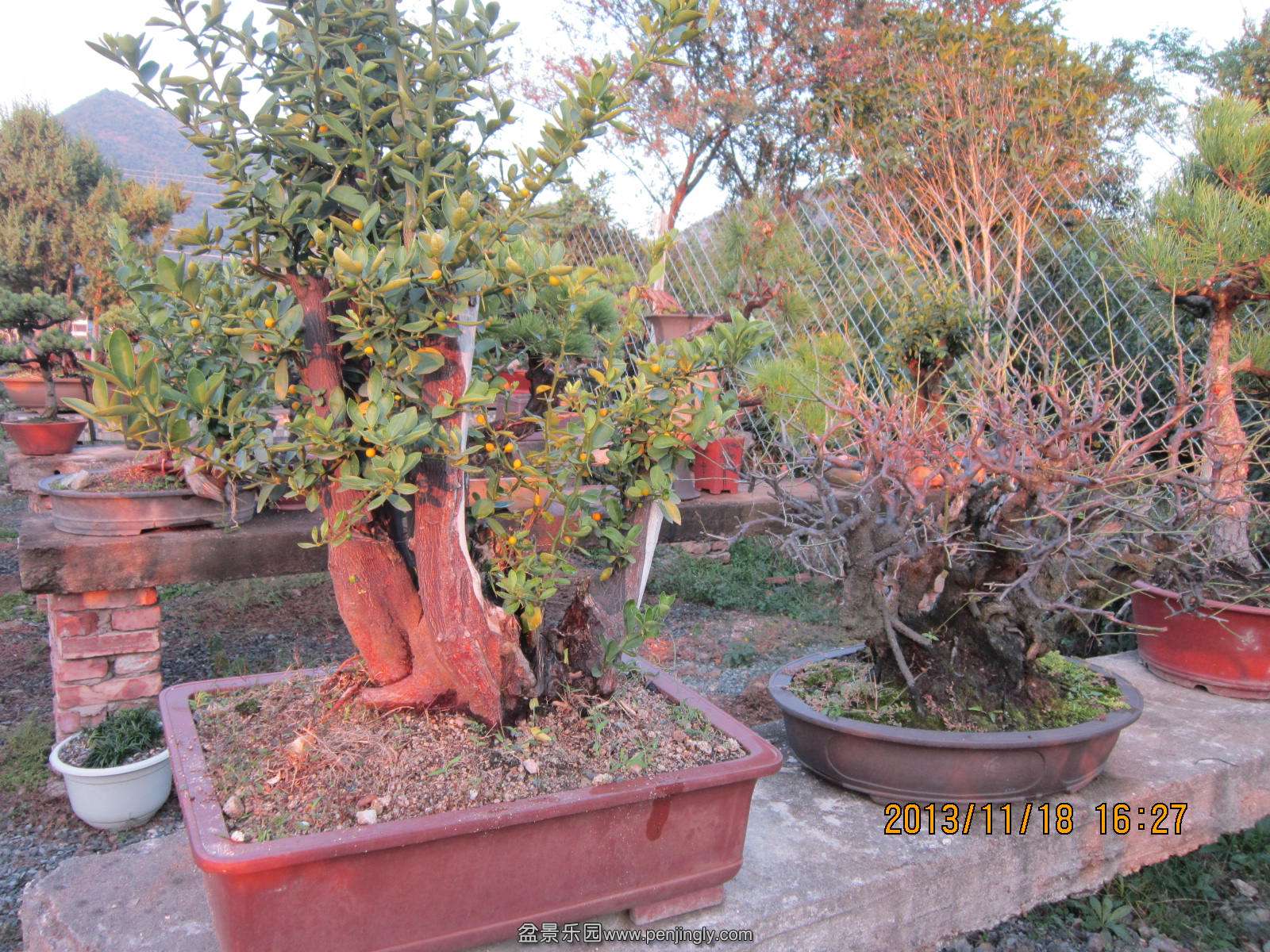 IMG_0012.JPG