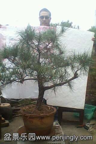 IMG0661A.jpg