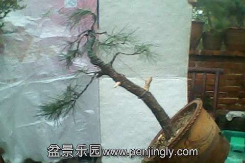 IMG0663A.jpg
