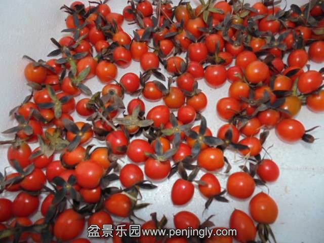 QQ图片20131013205535.jpg