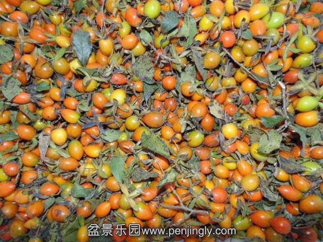 QQ图片20131013214554.jpg