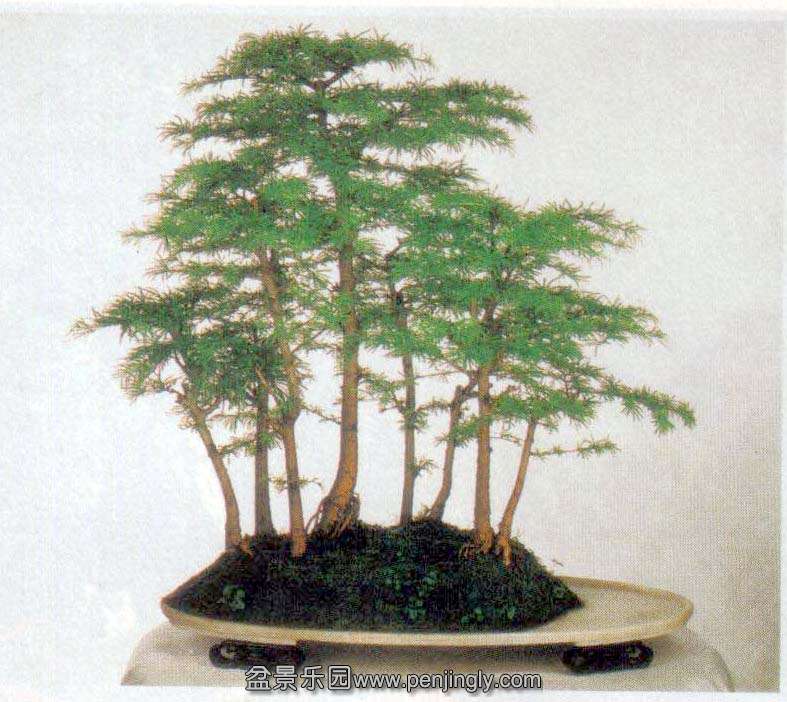 ˴-Ǯ-08-6 .jpg
