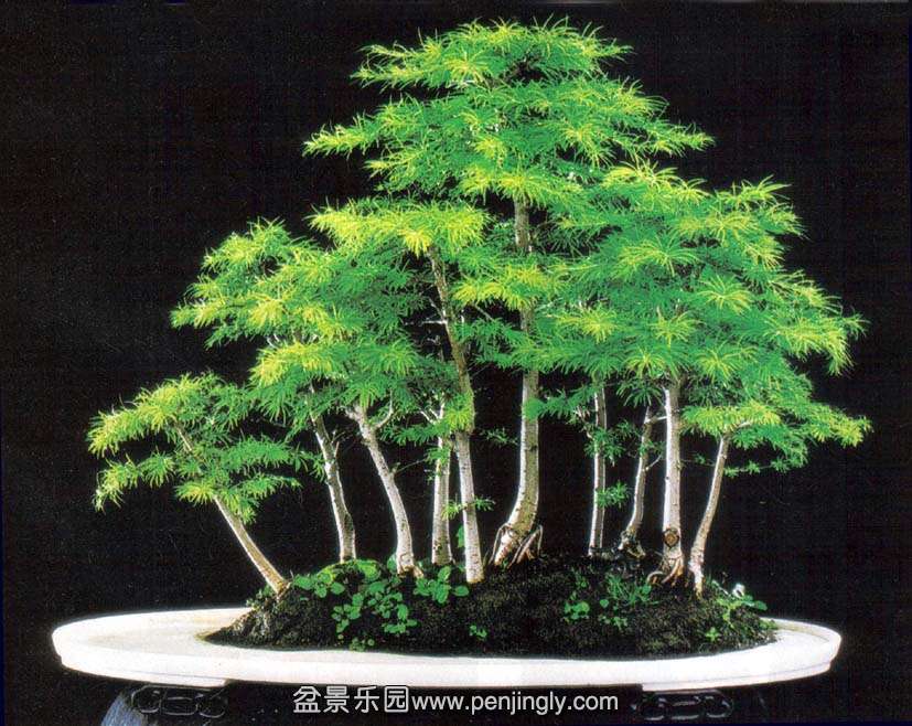 ˴-Ǯ-08-6.jpg