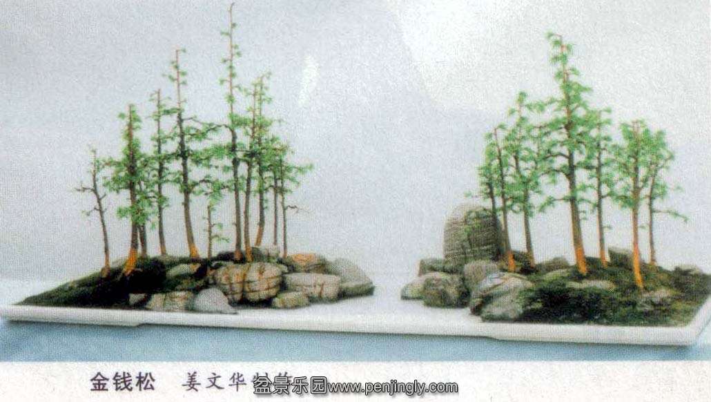 Ծ-Ǯ-06-9 .jpg