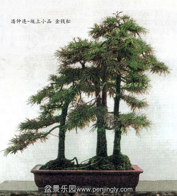 -СƷ Ǯ.jpg