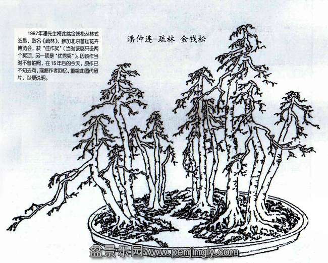 - Ǯ.jpg