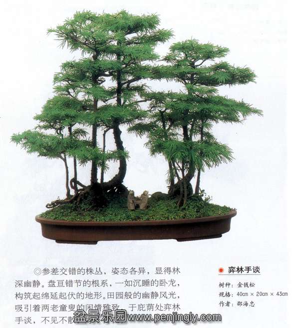 ۺ ̸ Ǯ.jpg
