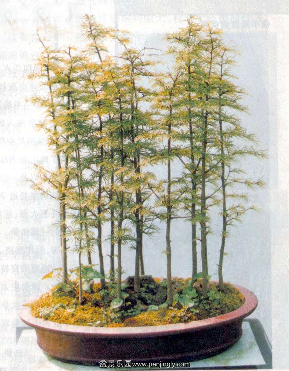 -Ǯ-02-6 .jpg