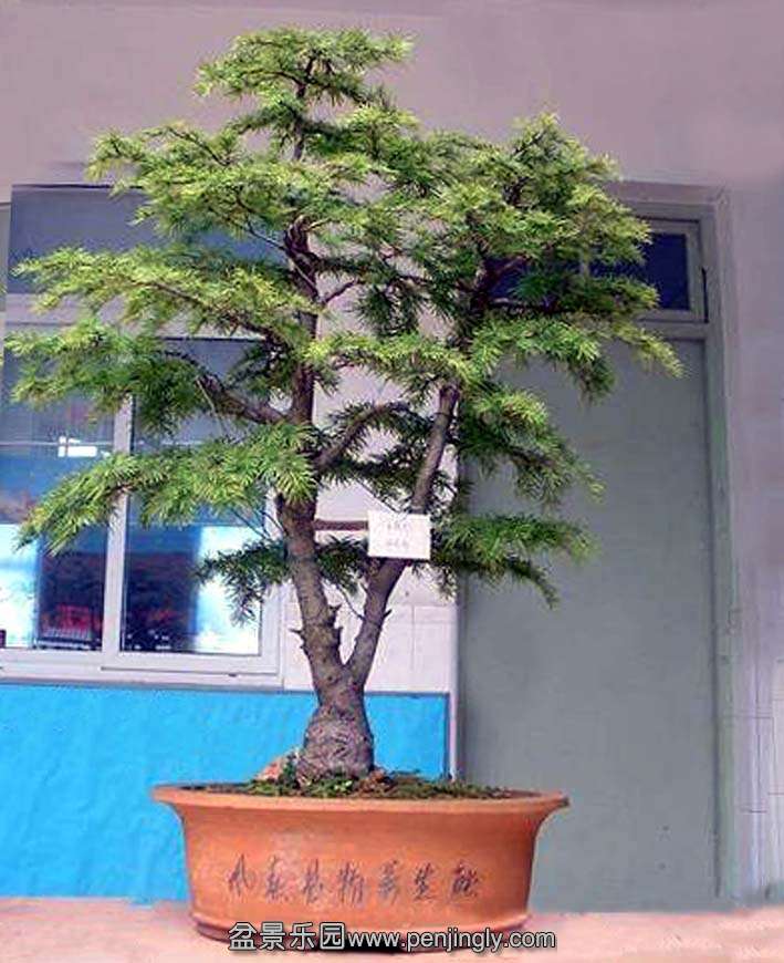 ң辰-辰չĽǮ.jpg