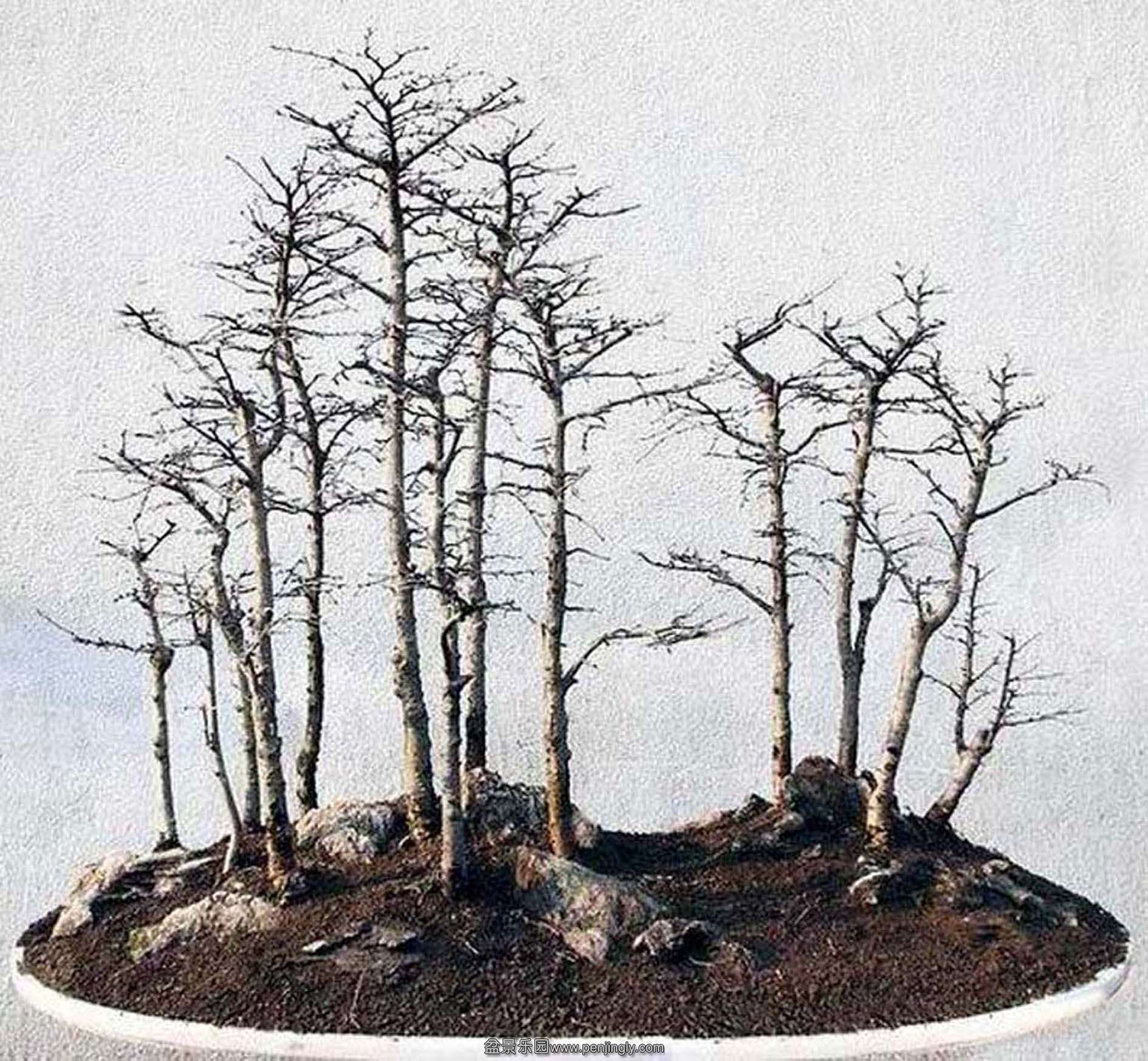 ֣־-Ǯ2.jpg