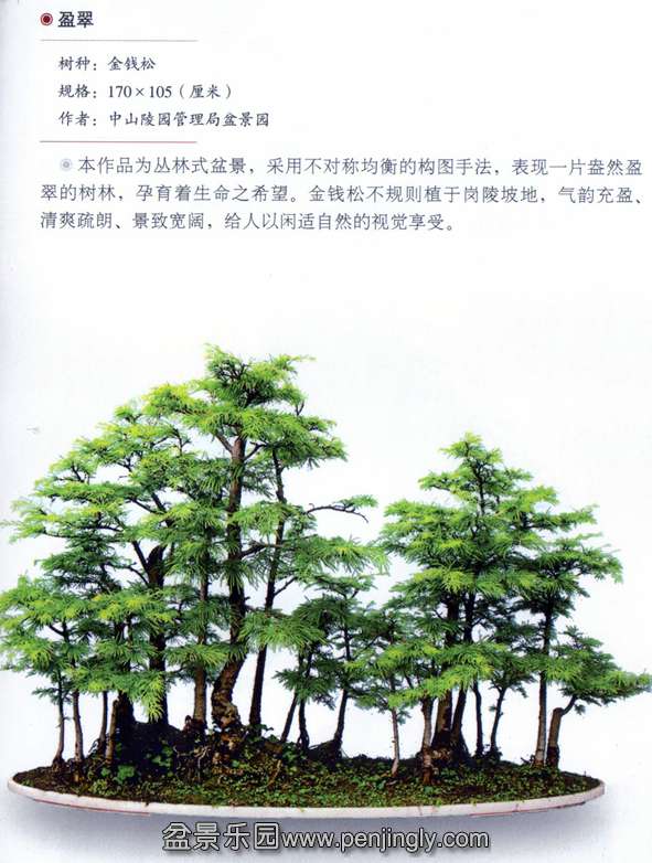 ɽ԰辰԰ӯ䡷Ǯ.jpg