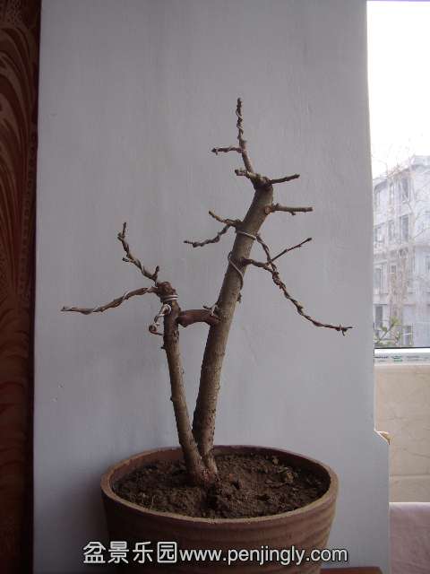 PB240007.JPG