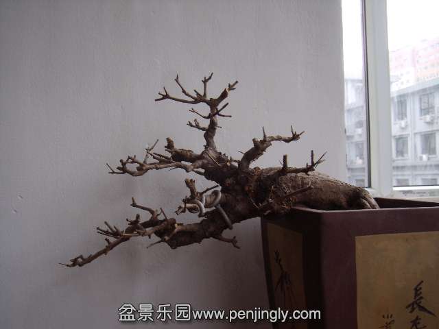 PB240020.JPG